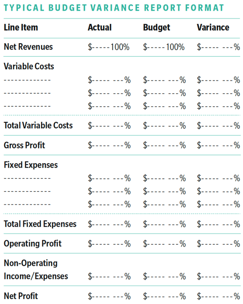 Budget variance report sample